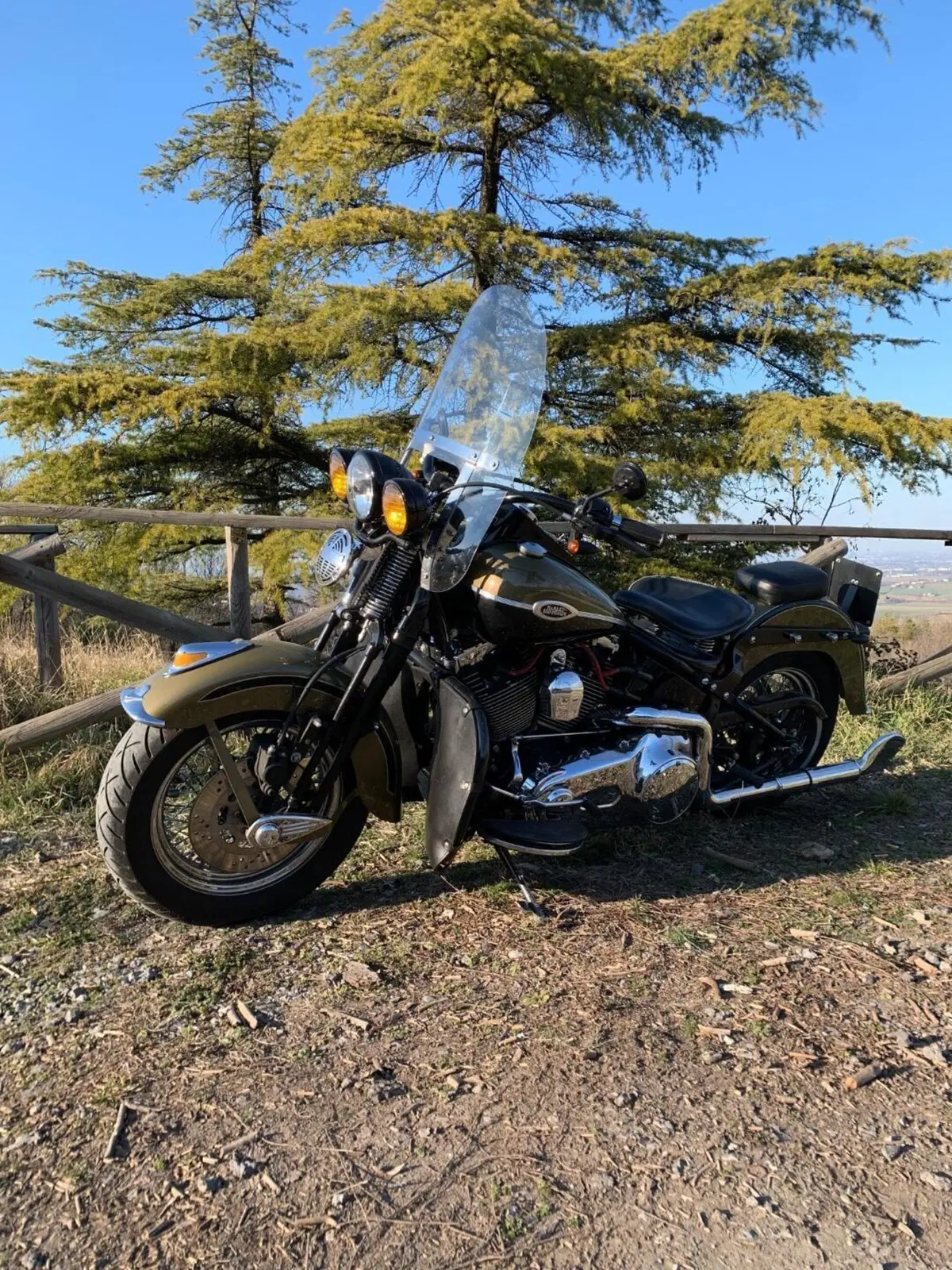 Harley-Davidson 1584 Springer Classic (2006 - 07) - FLSTSC (10)