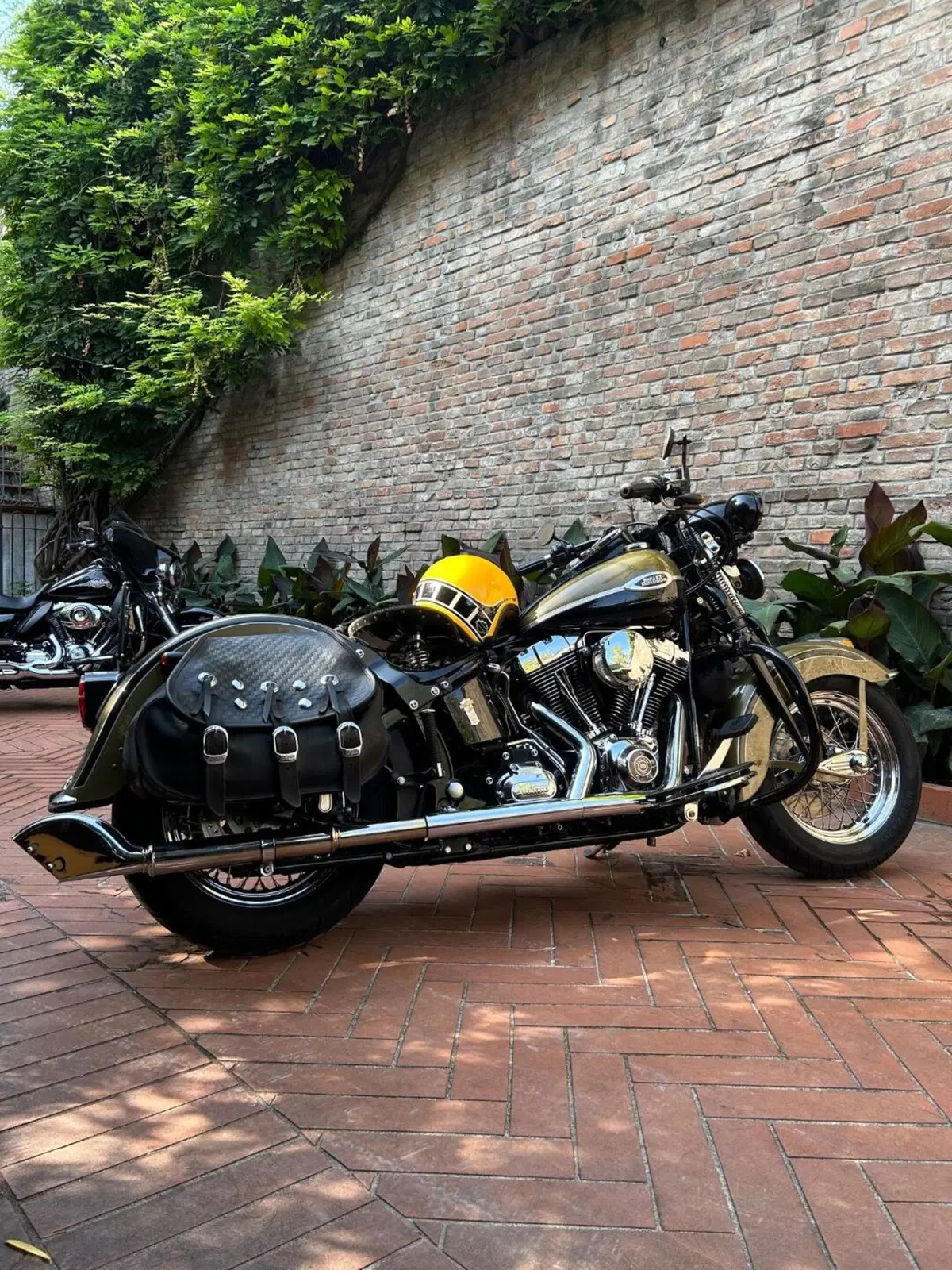 Harley-Davidson 1584 Springer Classic (2006 - 07) - FLSTSC (13)