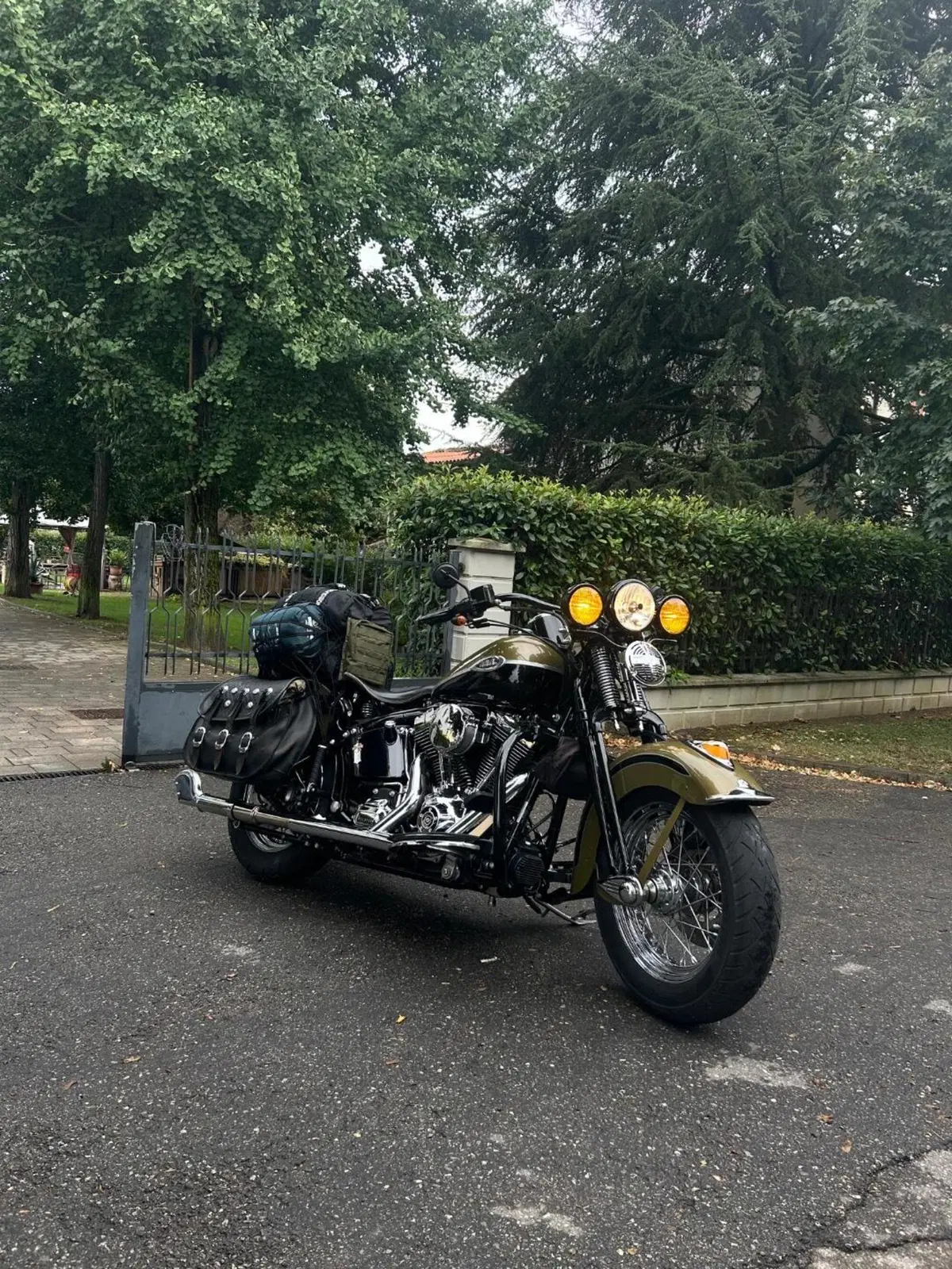 Harley-Davidson 1584 Springer Classic (2006 - 07) - FLSTSC (15)