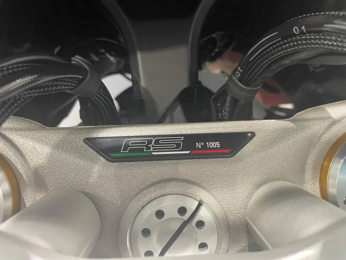 Ducati Multistrada V4 RS (2024 - 25) (10)