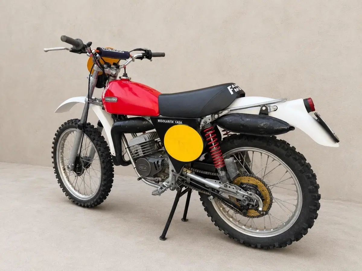 Fantic Motor REGOLARITÀ CASA 50 TX 190 (3)