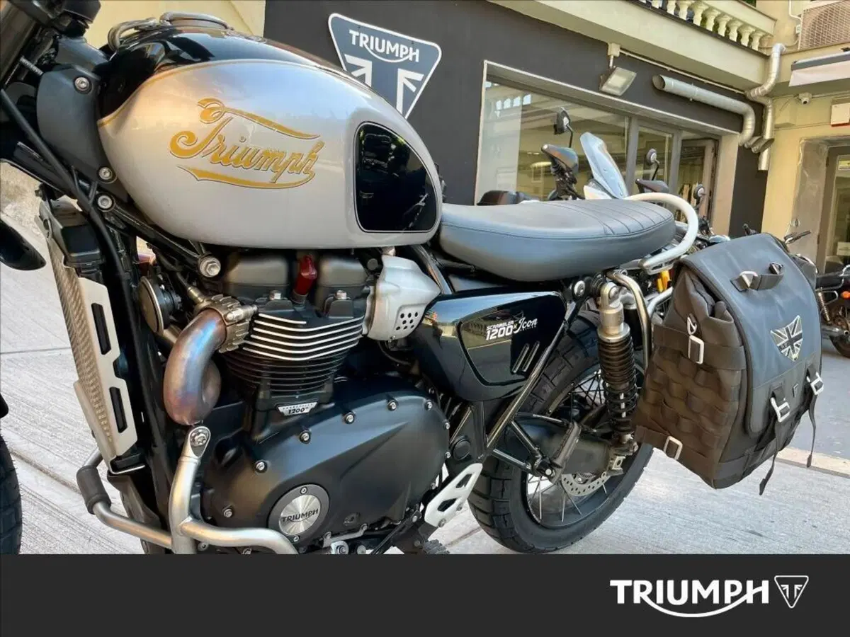 Triumph Scrambler 1200 X Icon Edition (2025 - 26) (7)