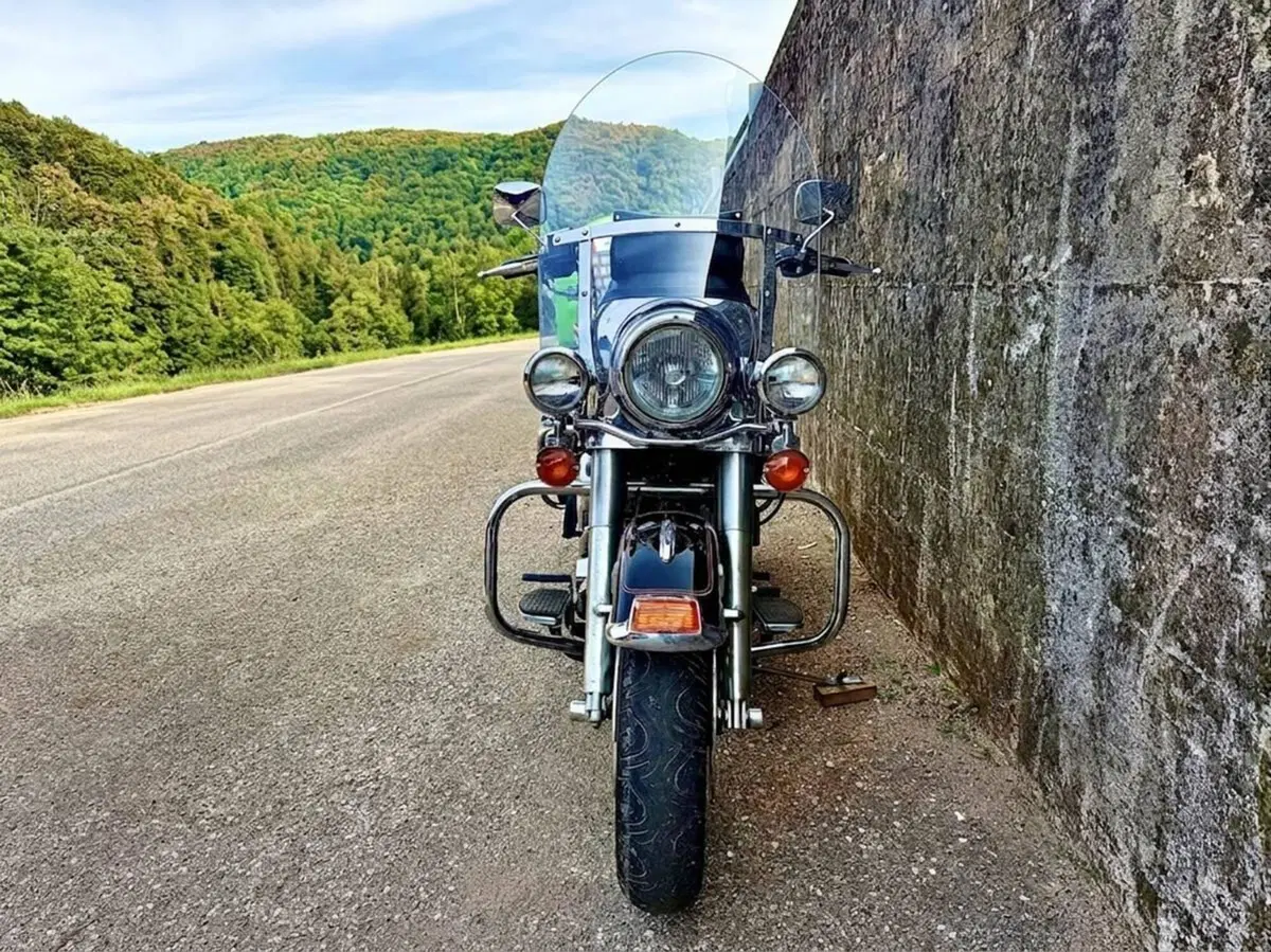 Harley-Davidson 1340 Electra Glide Classic (1989 - 93) - FLHTC (3)