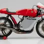 Due tempi, 60 CV e 103 kg: ci credi se ti dico che è nuova?