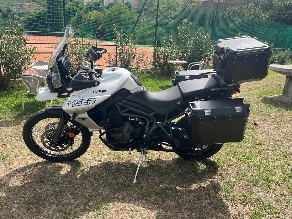 Triumph Tiger 800 XCx (2018 - 20) (16)