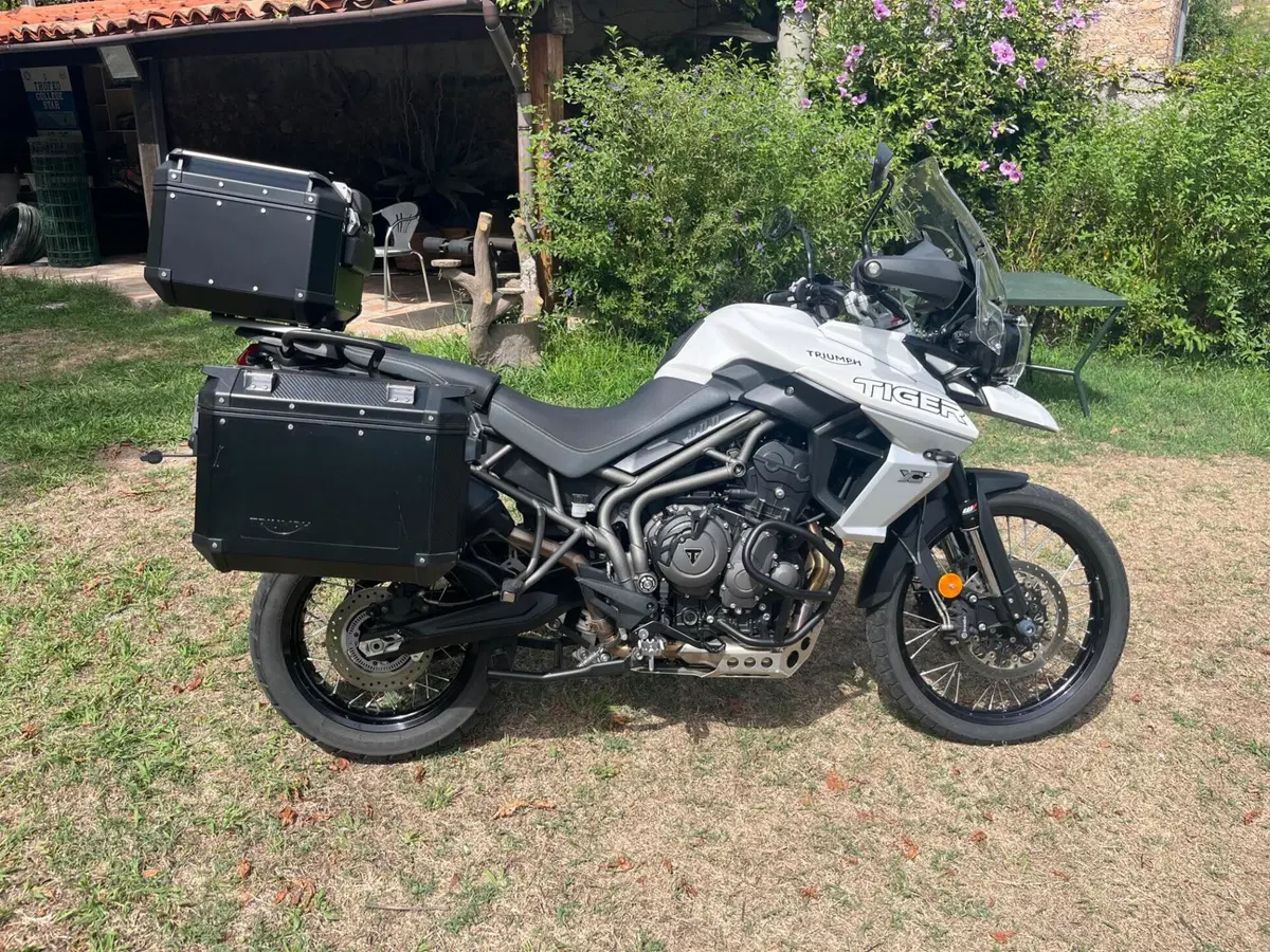 Triumph Tiger 800 XCx (2018 - 20) (17)