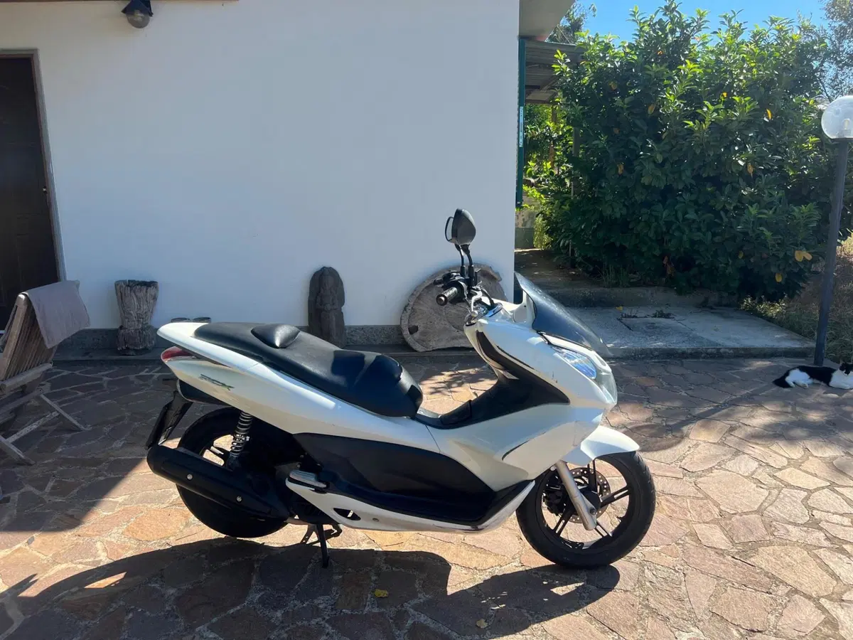 Honda PCX 125 (2014 - 16) (2)