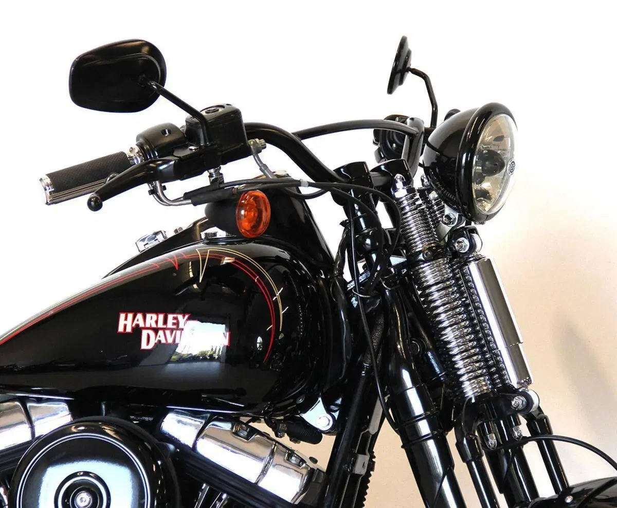 Harley-Davidson 1584 Cross Bones (2008 - 11) - FLSTSB (3)
