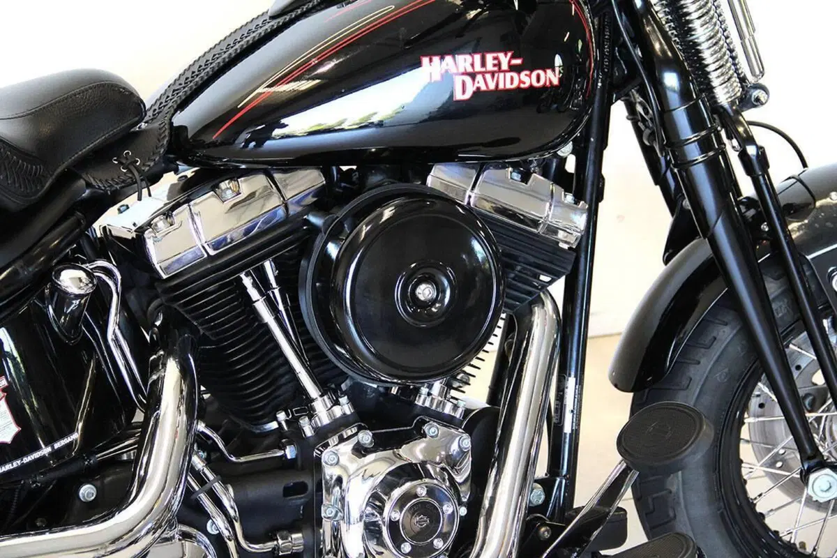 Harley-Davidson 1584 Cross Bones (2008 - 11) - FLSTSB (4)