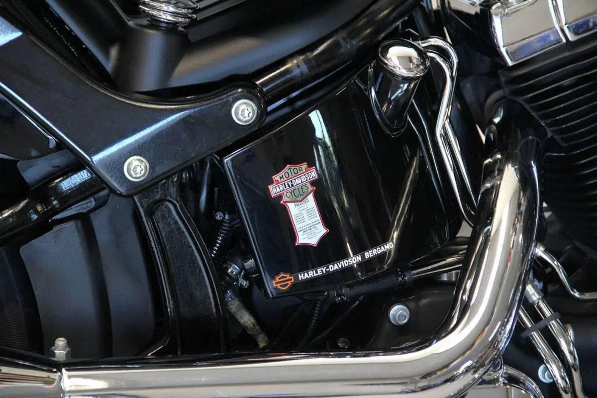 Harley-Davidson 1584 Cross Bones (2008 - 11) - FLSTSB (5)