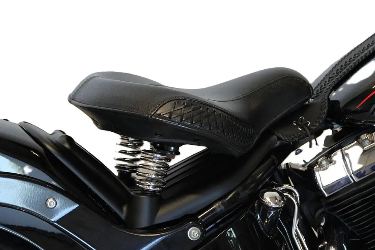 Harley-Davidson 1584 Cross Bones (2008 - 11) - FLSTSB (6)
