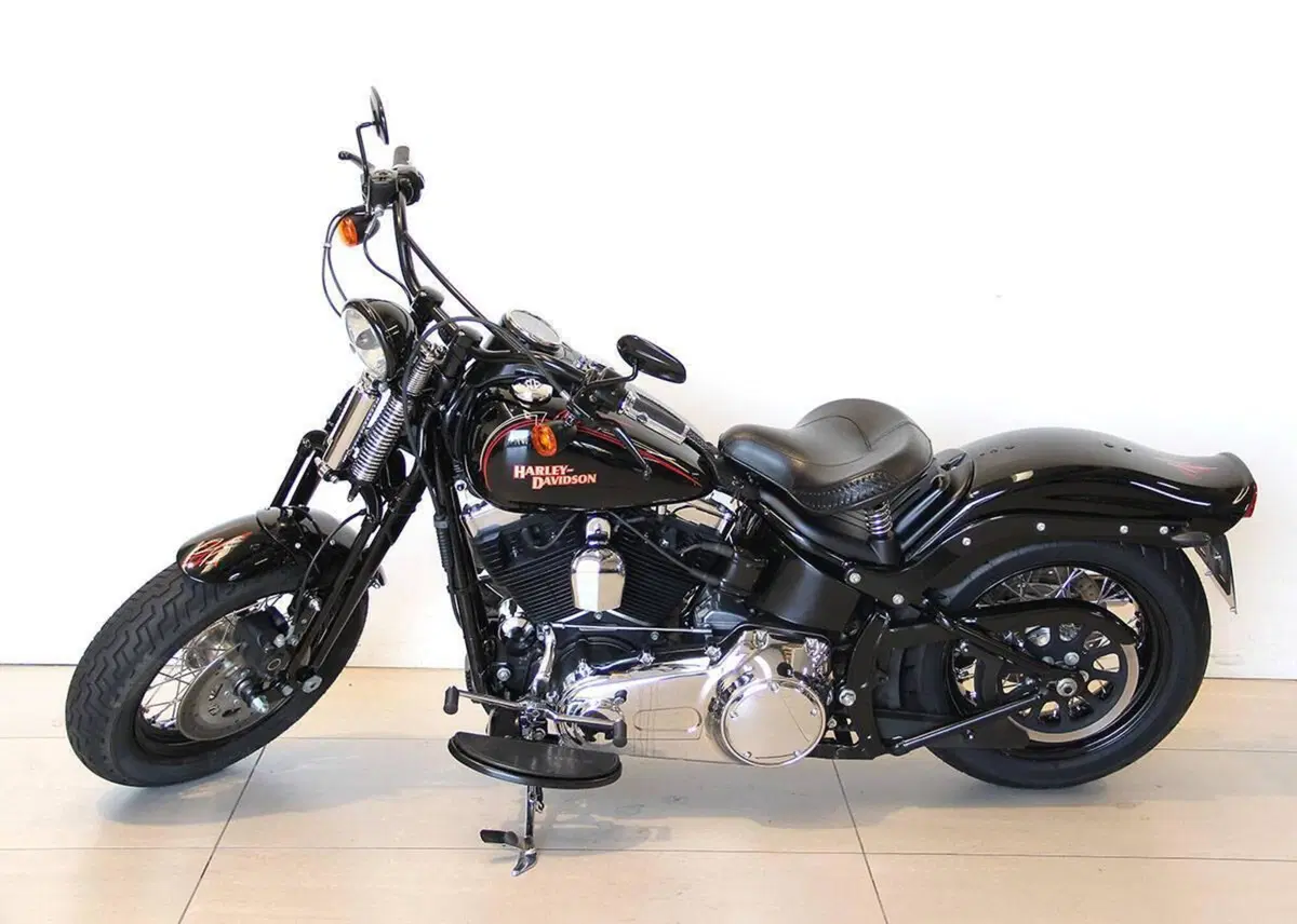 Harley-Davidson 1584 Cross Bones (2008 - 11) - FLSTSB (11)