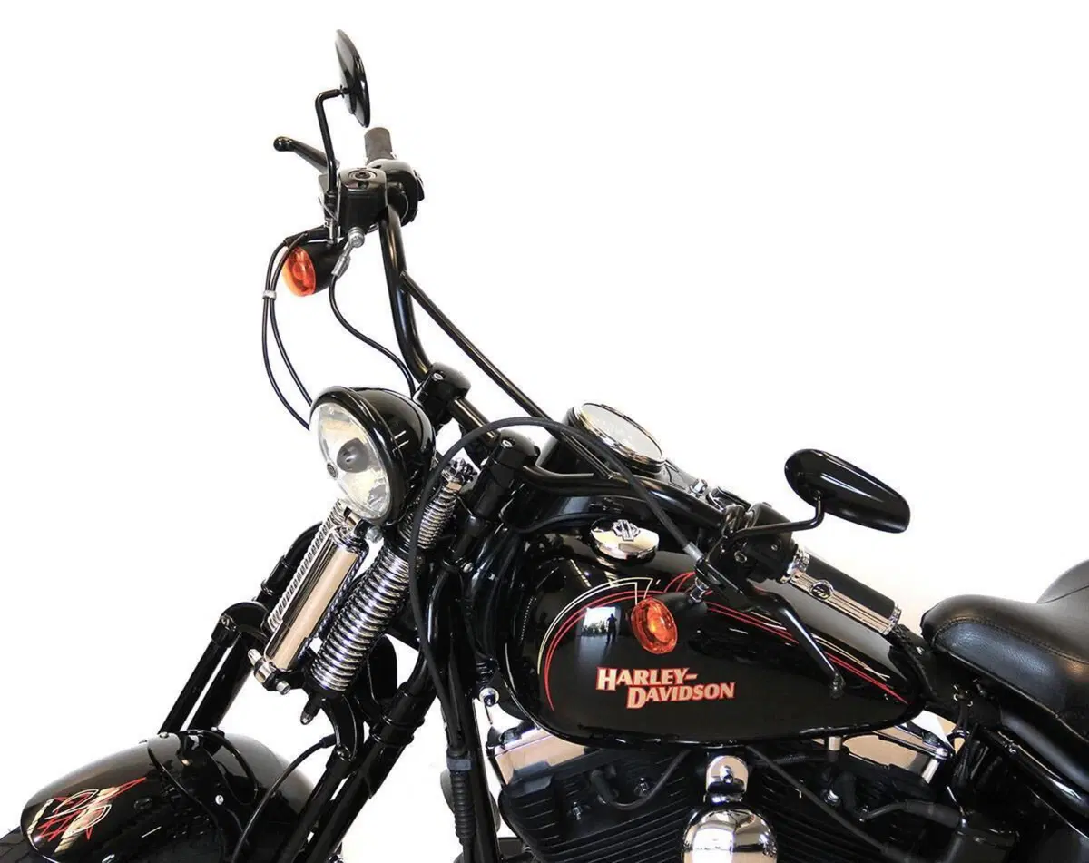 Harley-Davidson 1584 Cross Bones (2008 - 11) - FLSTSB (12)