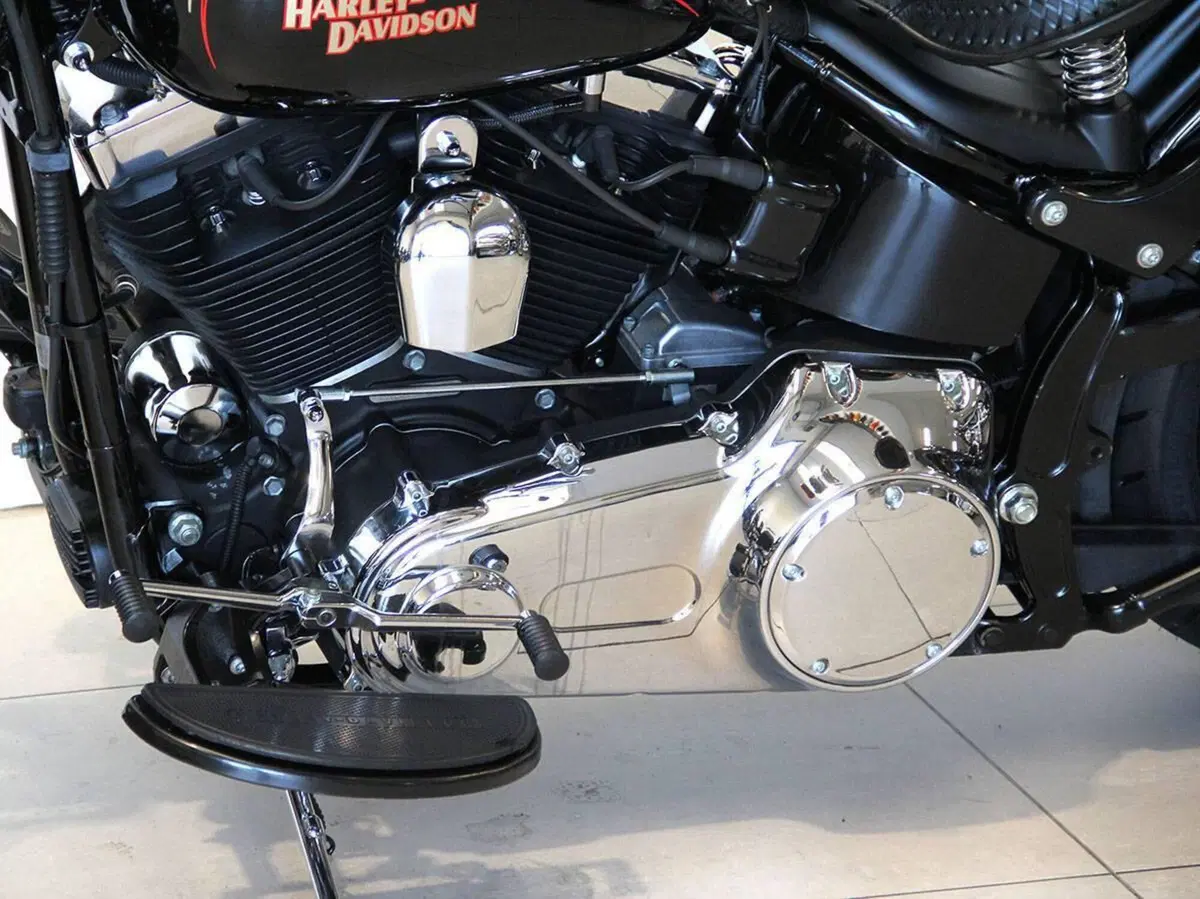 Harley-Davidson 1584 Cross Bones (2008 - 11) - FLSTSB (13)