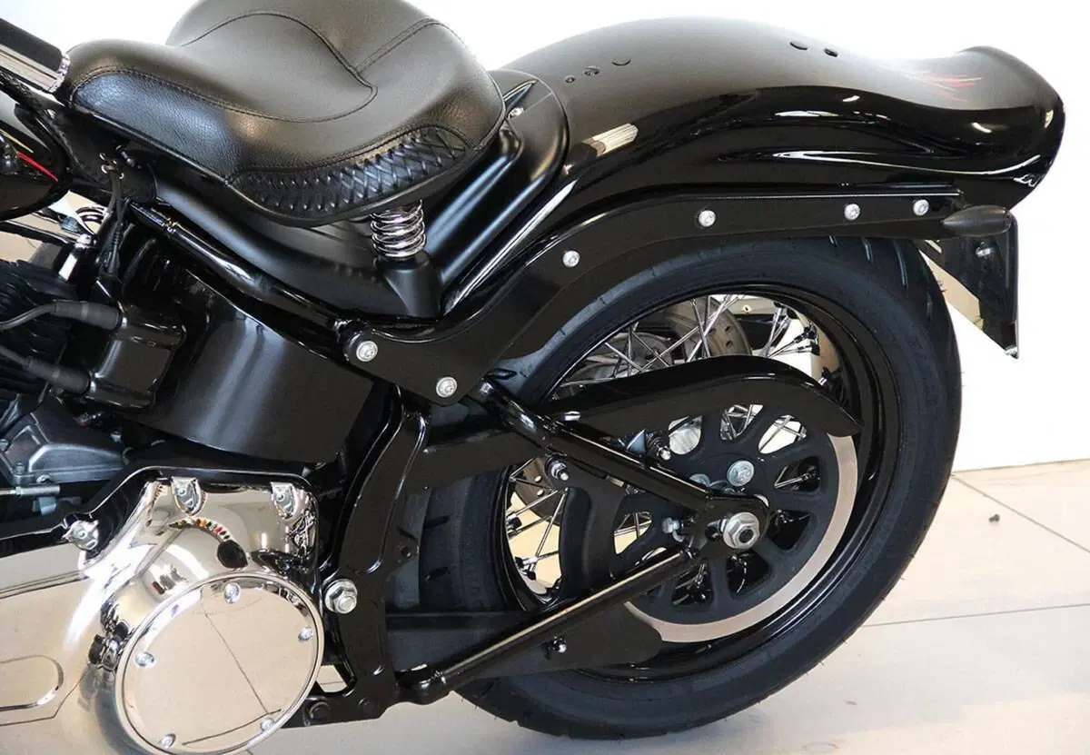 Harley-Davidson 1584 Cross Bones (2008 - 11) - FLSTSB (14)