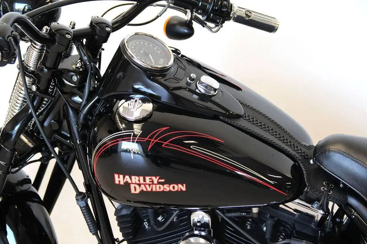 Harley-Davidson 1584 Cross Bones (2008 - 11) - FLSTSB (15)