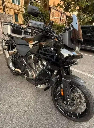 Harley-Davidson Pan America 1250 (2020 - 25) usata