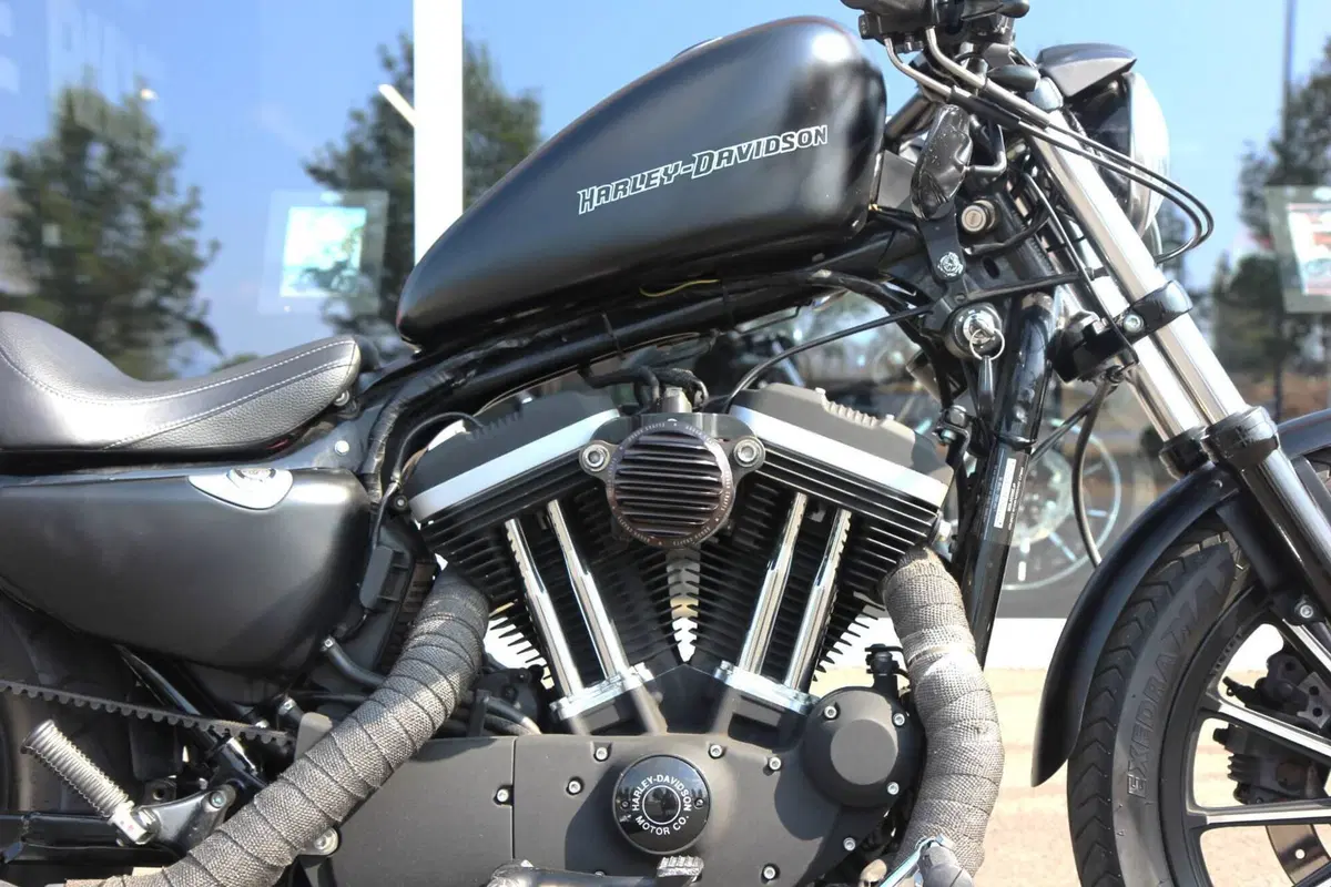 Harley-Davidson 883 Iron (2009 - 11) - XL 883N (7)