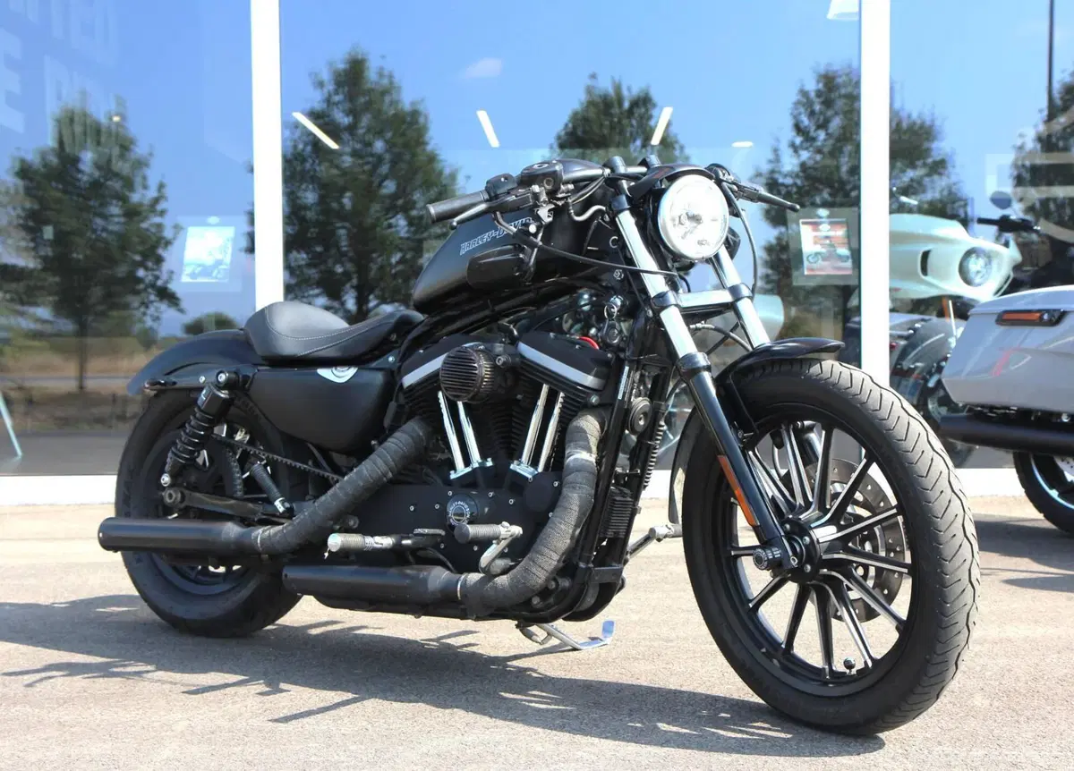 Harley-Davidson 883 Iron (2009 - 11) - XL 883N (3)