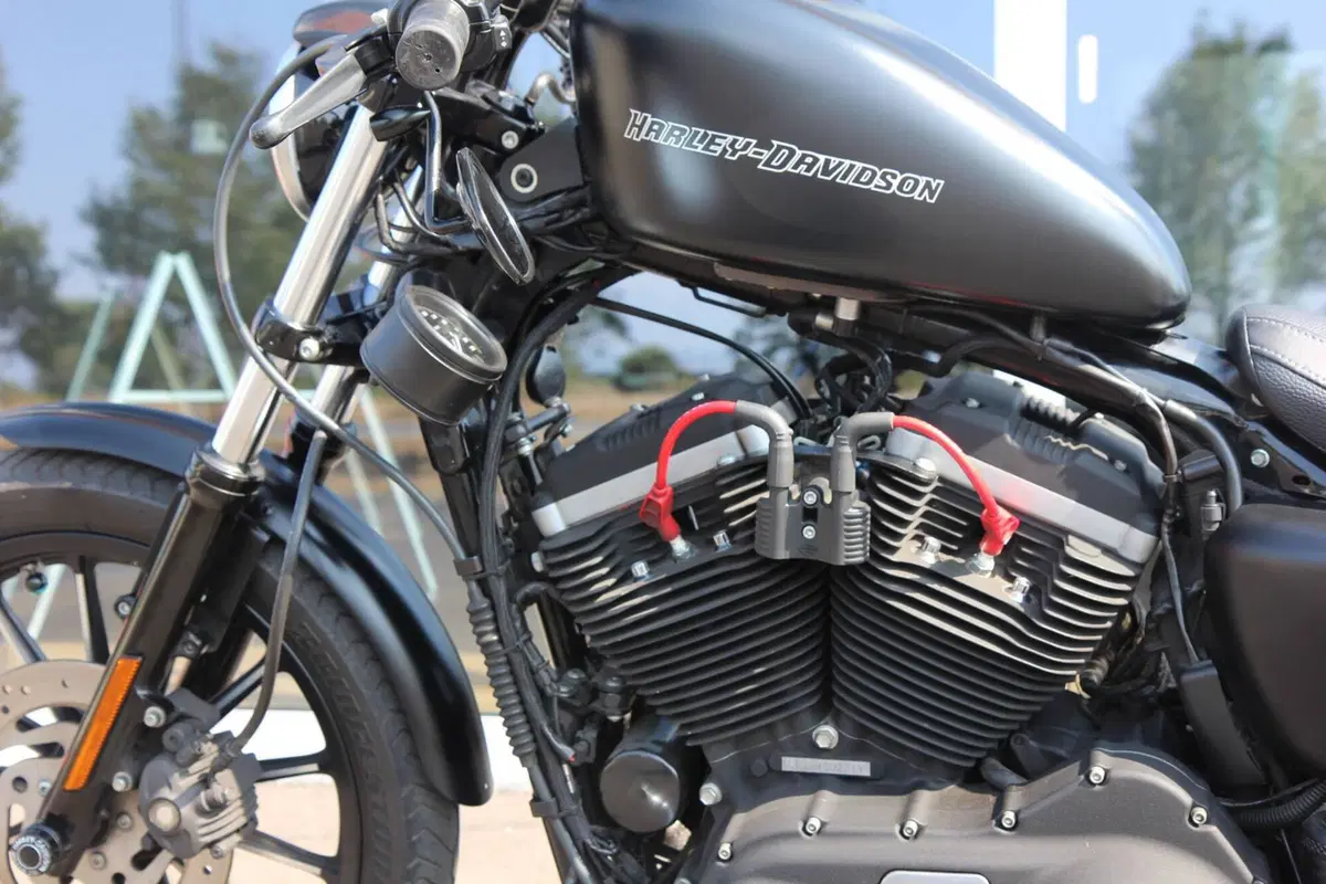 Harley-Davidson 883 Iron (2009 - 11) - XL 883N (8)