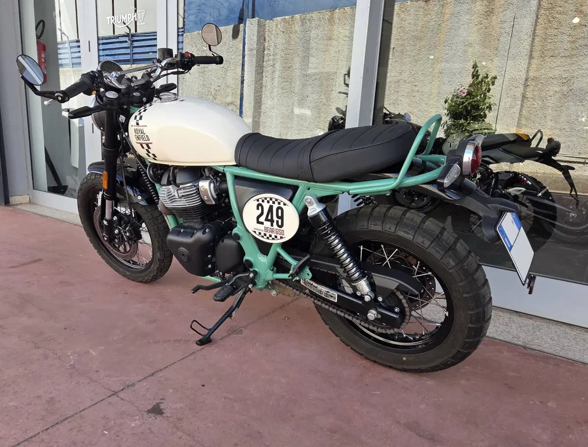 Royal Enfield Bear 650 (2025 - 26) (8)