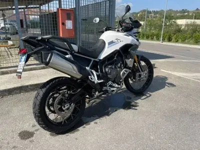 Triumph Tiger 900 Rally Pro (2020 - 23) usata