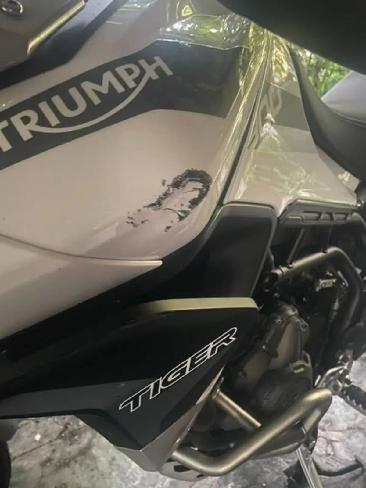 Triumph Tiger 900 Rally Pro (2020 - 23) (8)