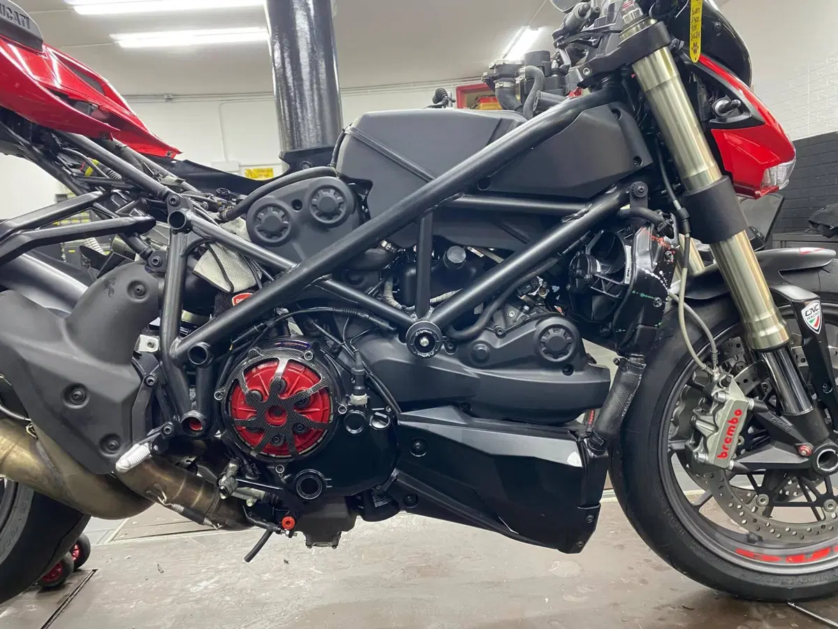 Ducati Streetfighter (2009 - 12) (9)