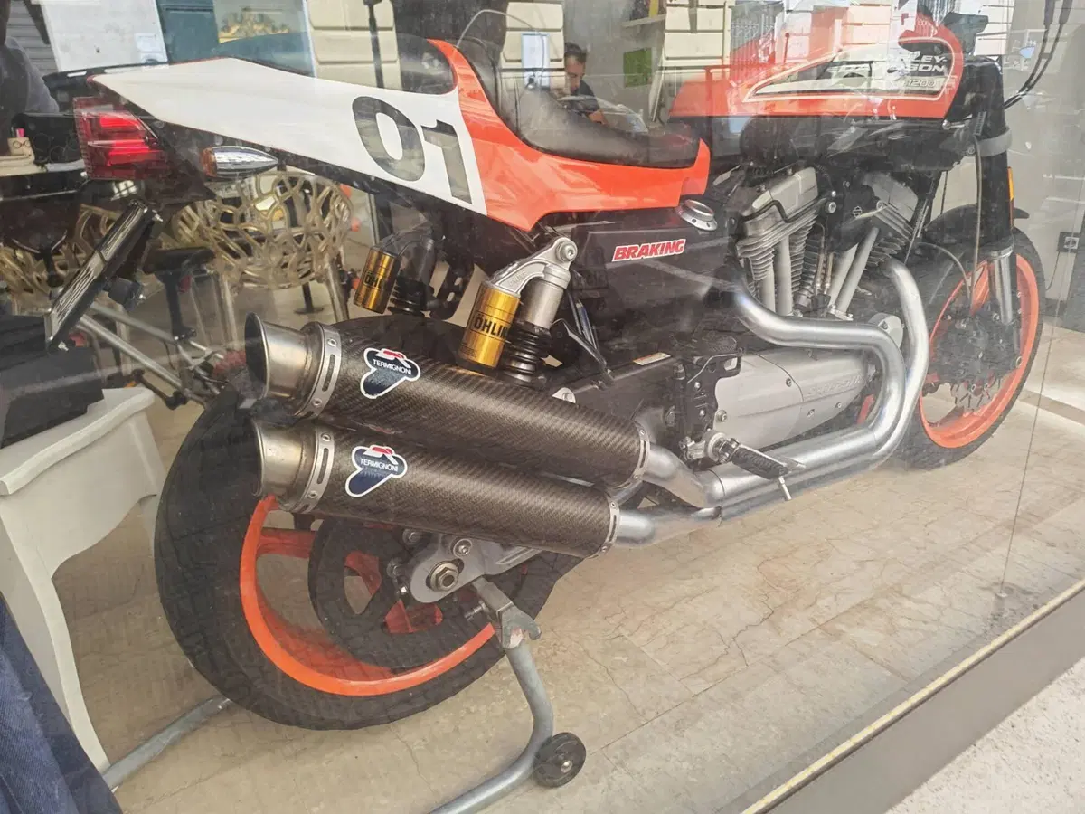 Harley-Davidson 1200 XR (2009 - 12) (2)