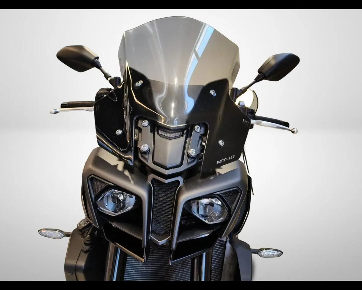 Yamaha MT-10 (2017 - 20) (19)