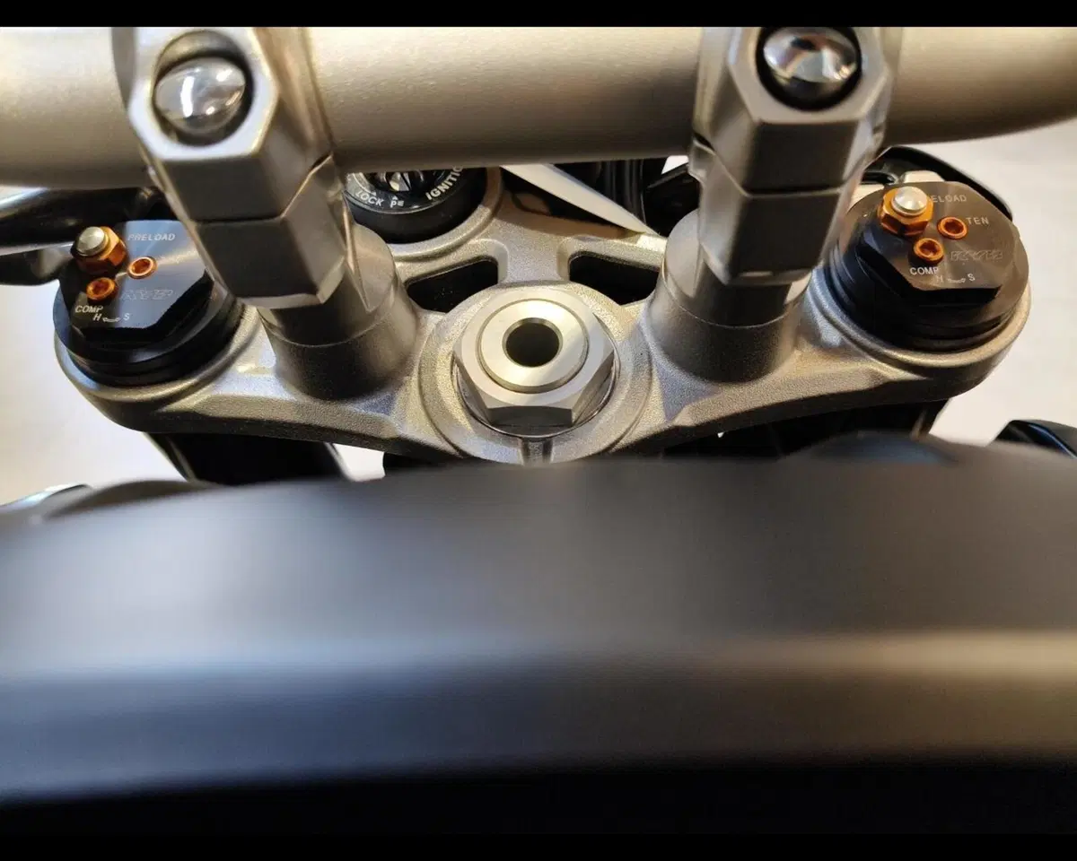 Yamaha MT-10 (2017 - 20) (20)