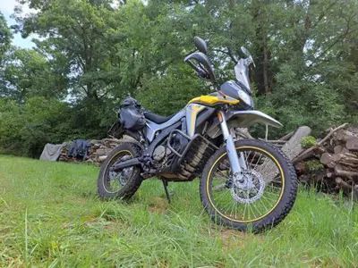 Voge Valico 300 Rally (2022 - 26) usata