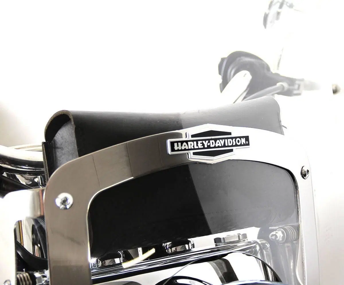 Harley-Davidson 1450 Deluxe (2005 - 06) - FLSTNI (7)