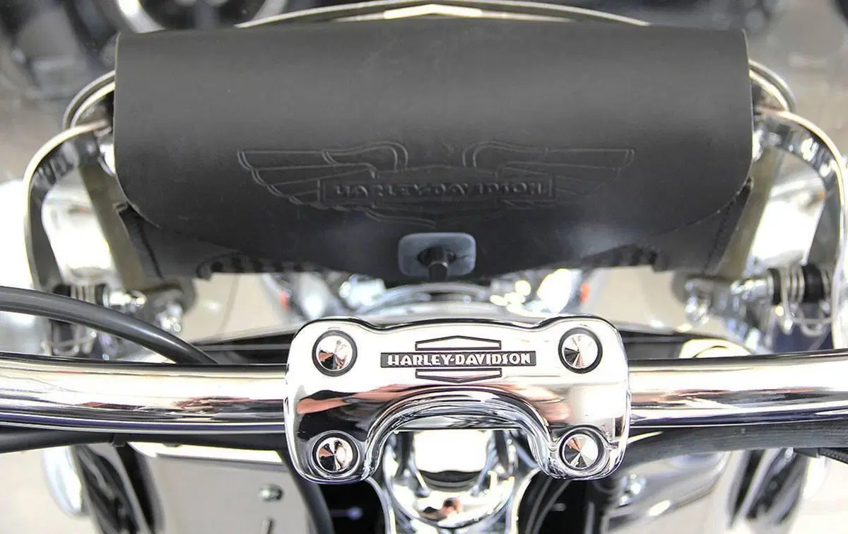 Harley-Davidson 1450 Deluxe (2005 - 06) - FLSTNI (11)