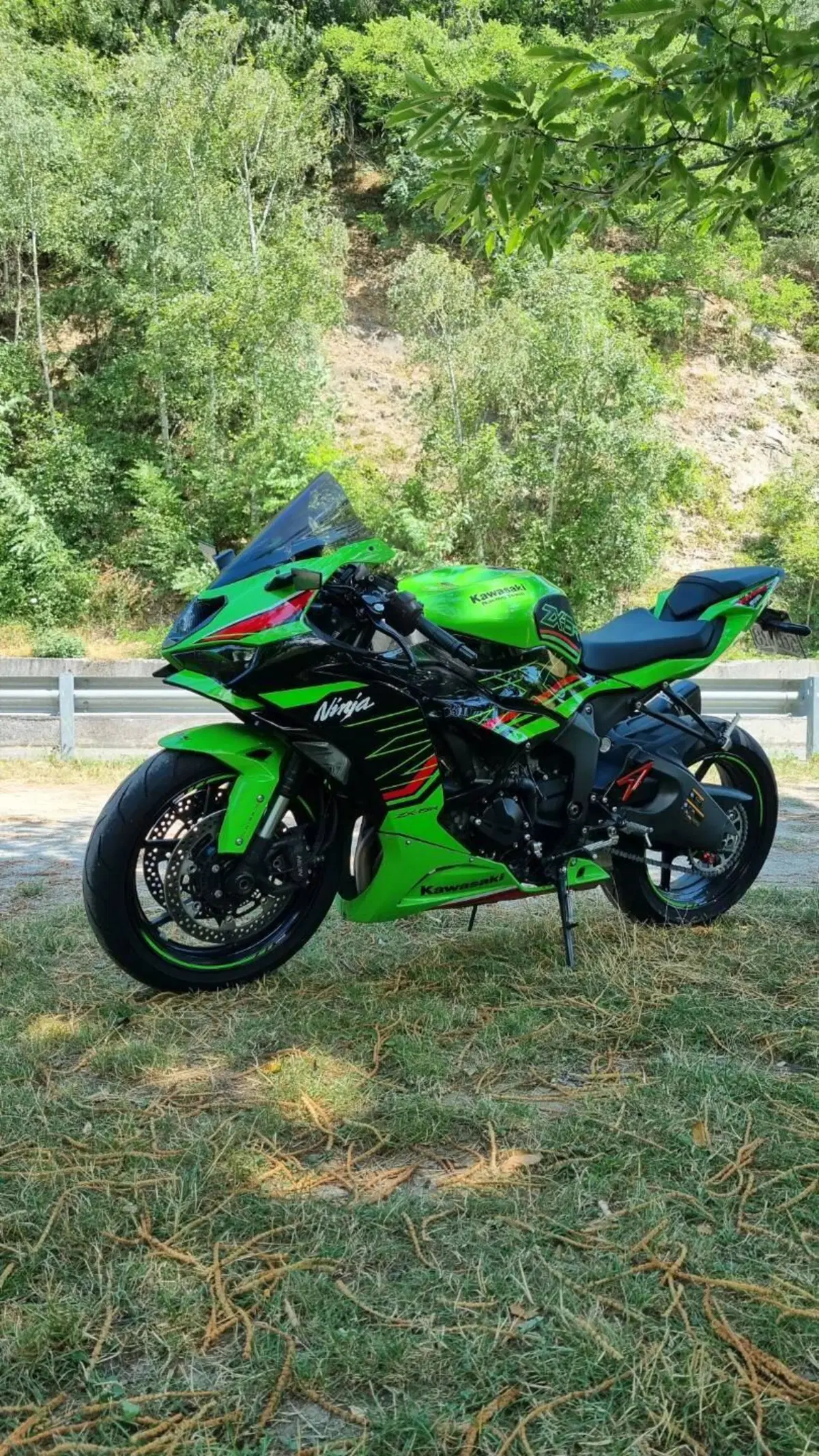 Kawasaki Ninja 636 ZX-6R (2024 - 26) (4)