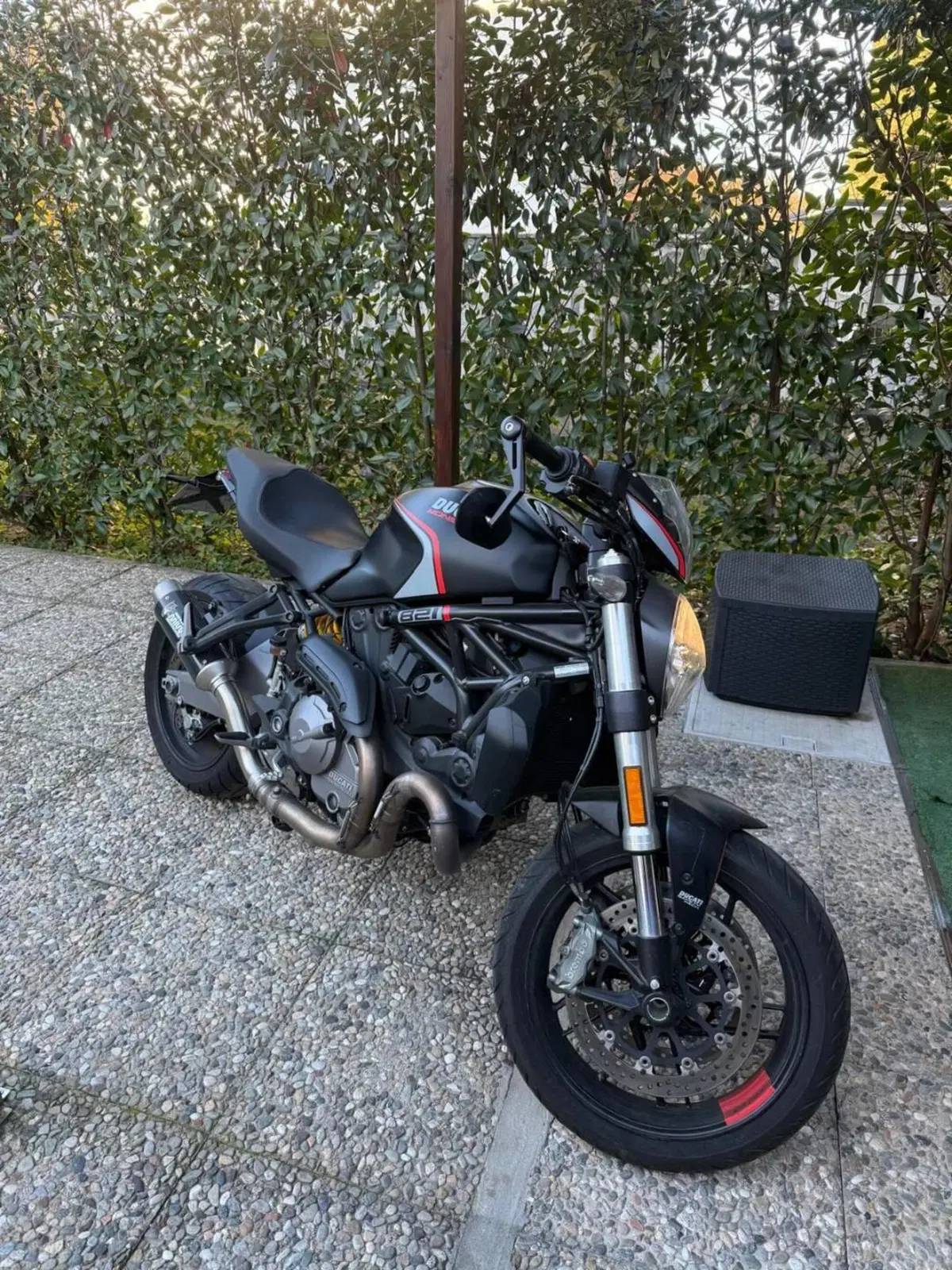 Ducati Monster 821 Stealth (2019 - 20) (4)