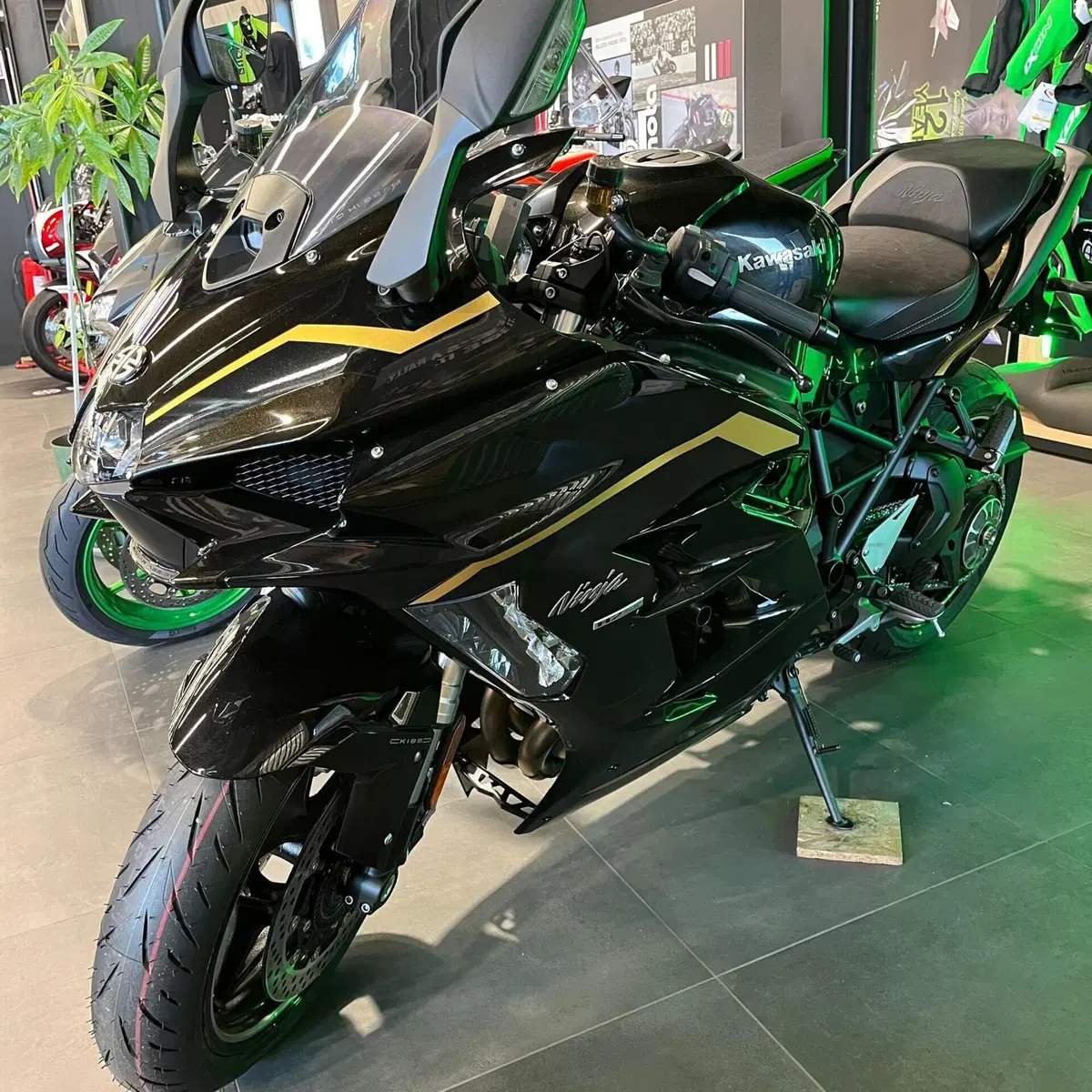 Kawasaki Ninja H2 SX SE (2023 - 26) (3)