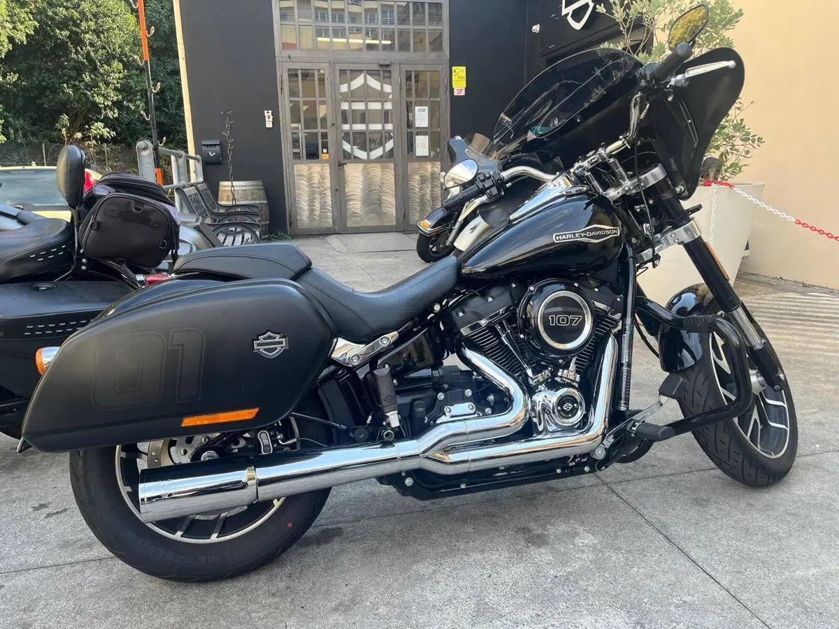 Harley-Davidson 107 Sport Glide (2018 - 20) (2)