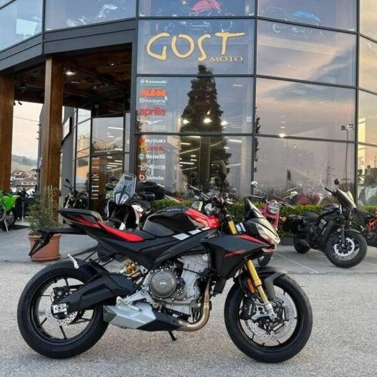 Aprilia Tuono 660 Factory (2025 - 26) (3)