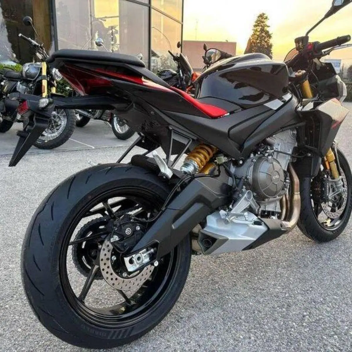 Aprilia Tuono 660 Factory (2025 - 26) (9)