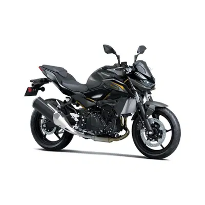 Kawasaki Z 500 (2024 - 26) nuova