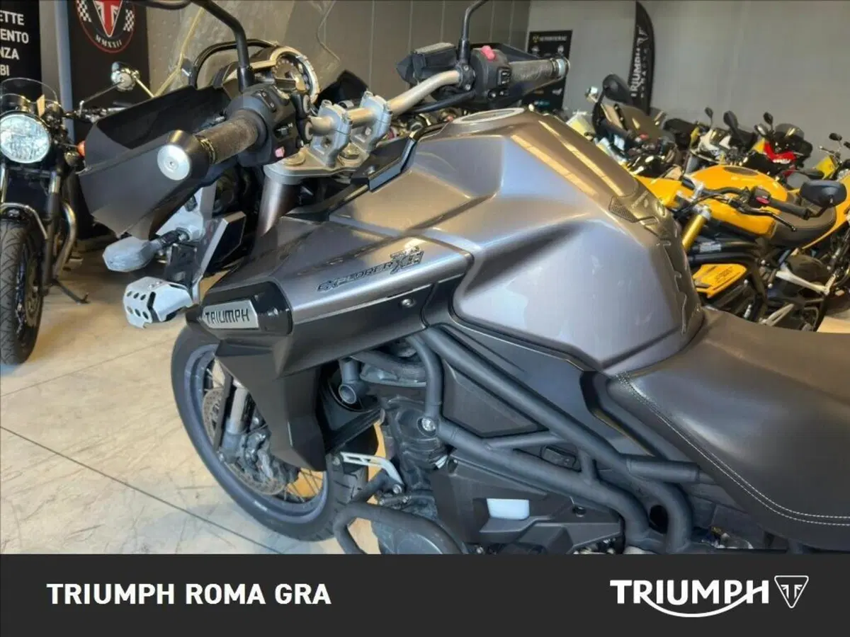 Triumph Tiger Explorer XC SE 1215 ABS (2011 - 16) (14)