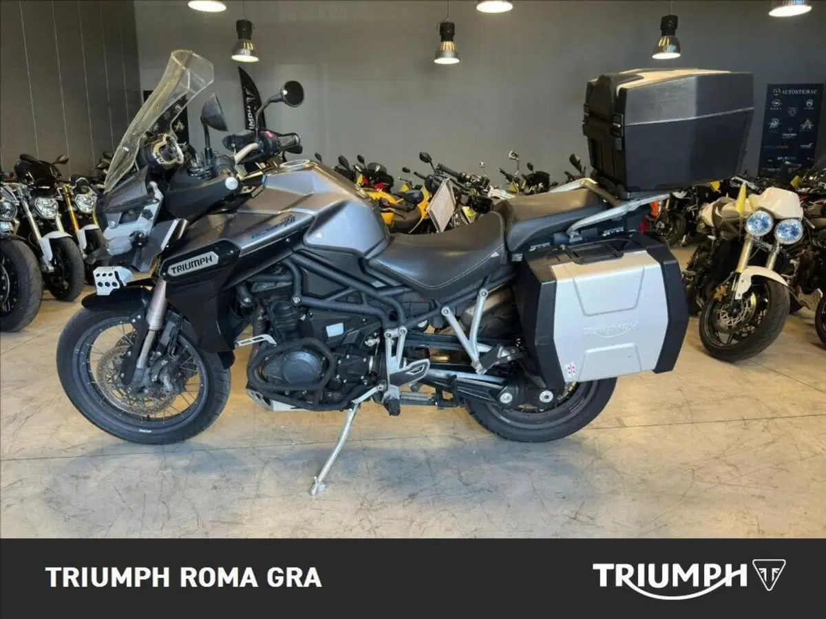 Triumph Tiger Explorer XC SE 1215 ABS (2011 - 16) (3)