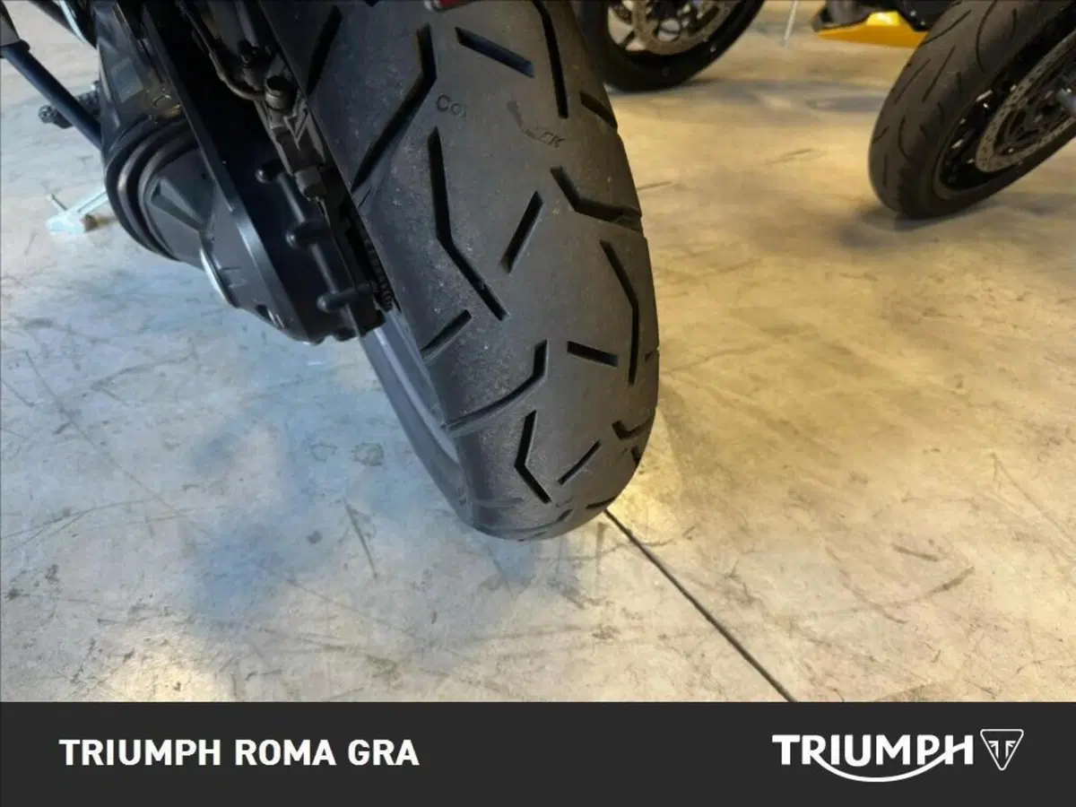 Triumph Tiger Explorer XC SE 1215 ABS (2011 - 16) (19)