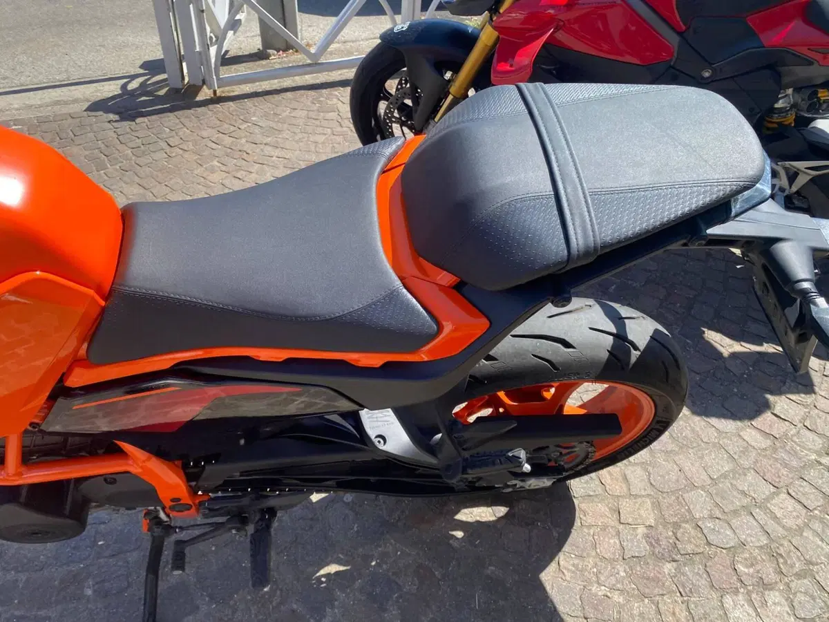 KTM 390 Duke (2024 - 25) (5)