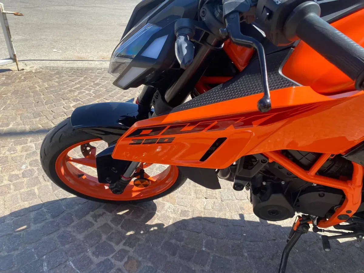 KTM 390 Duke (2024 - 25) (6)