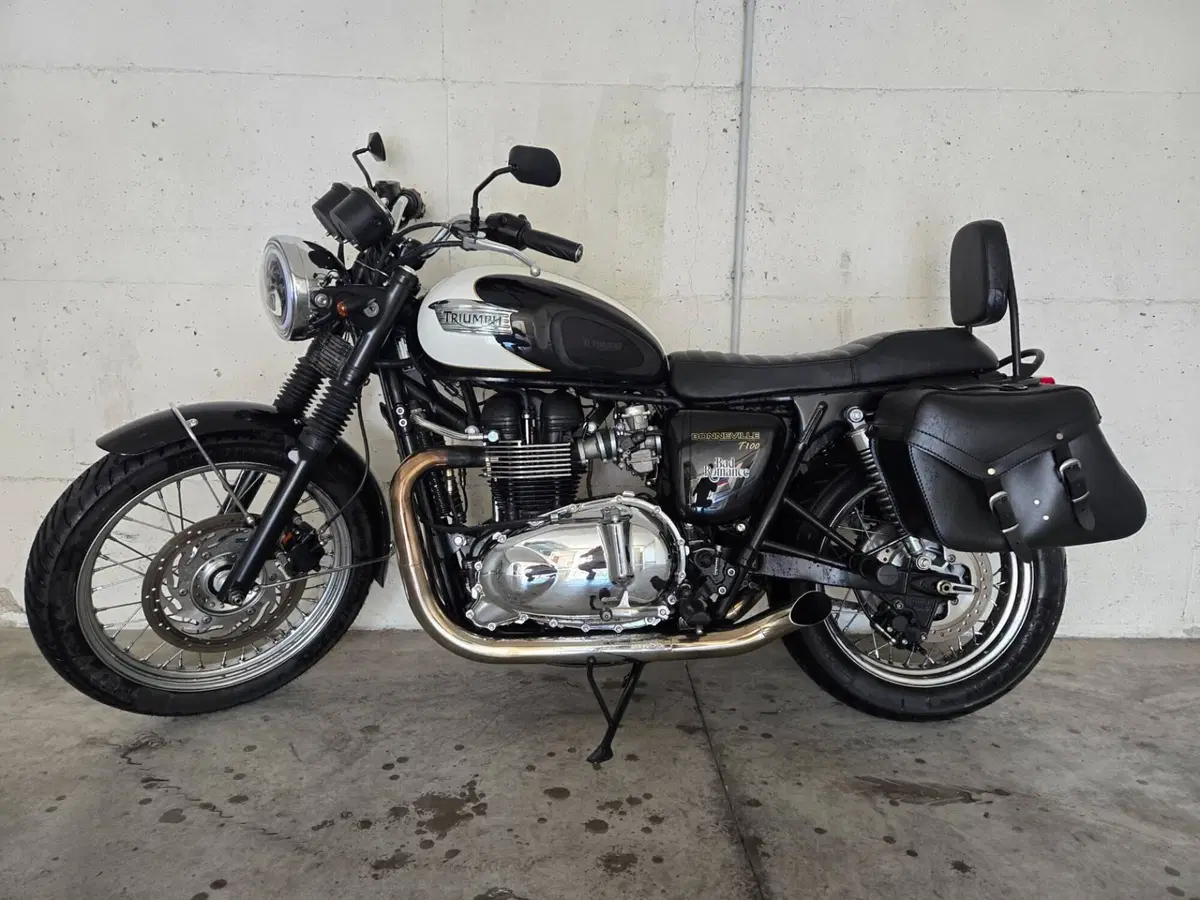 Triumph Bonneville T100 (2008 - 16)