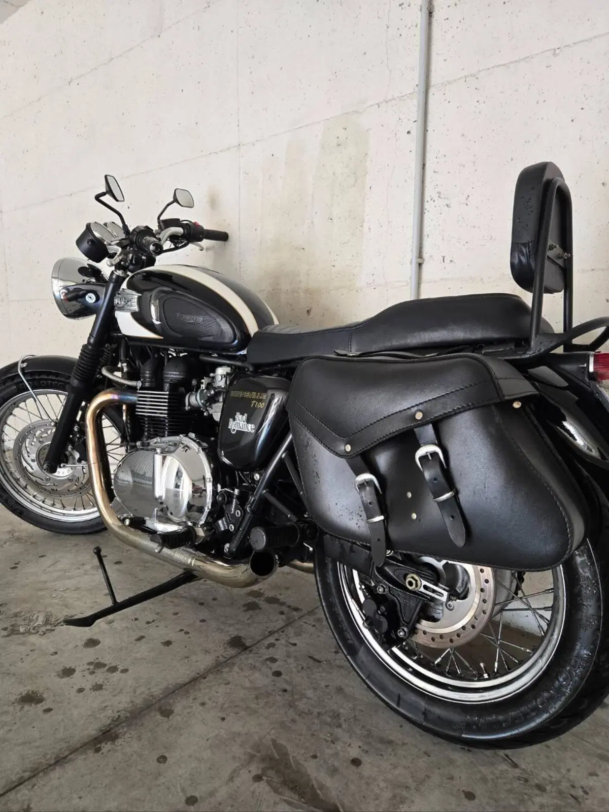 Triumph Bonneville T100 (2008 - 16) (6)