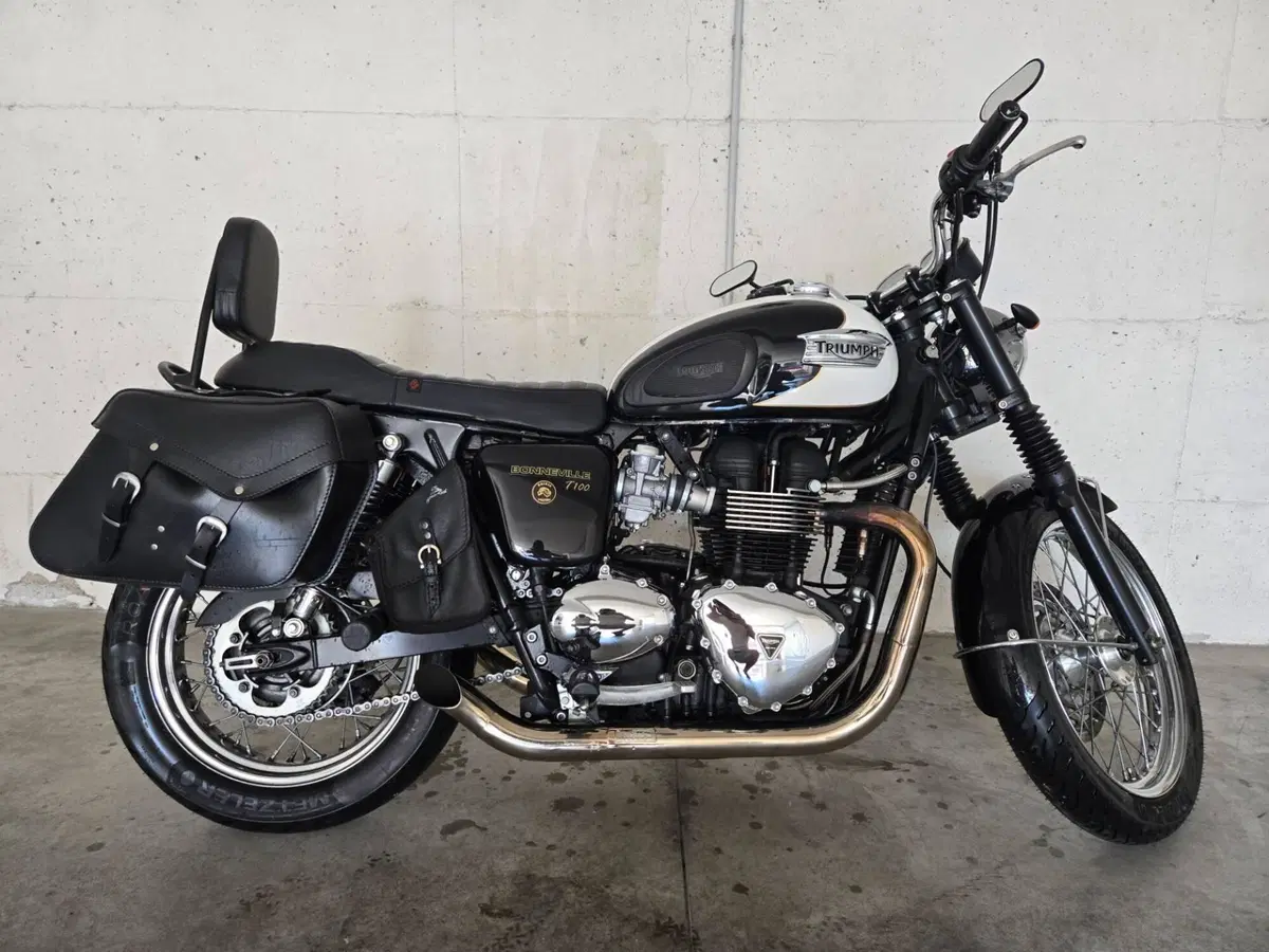 Triumph Bonneville T100 (2008 - 16) (7)