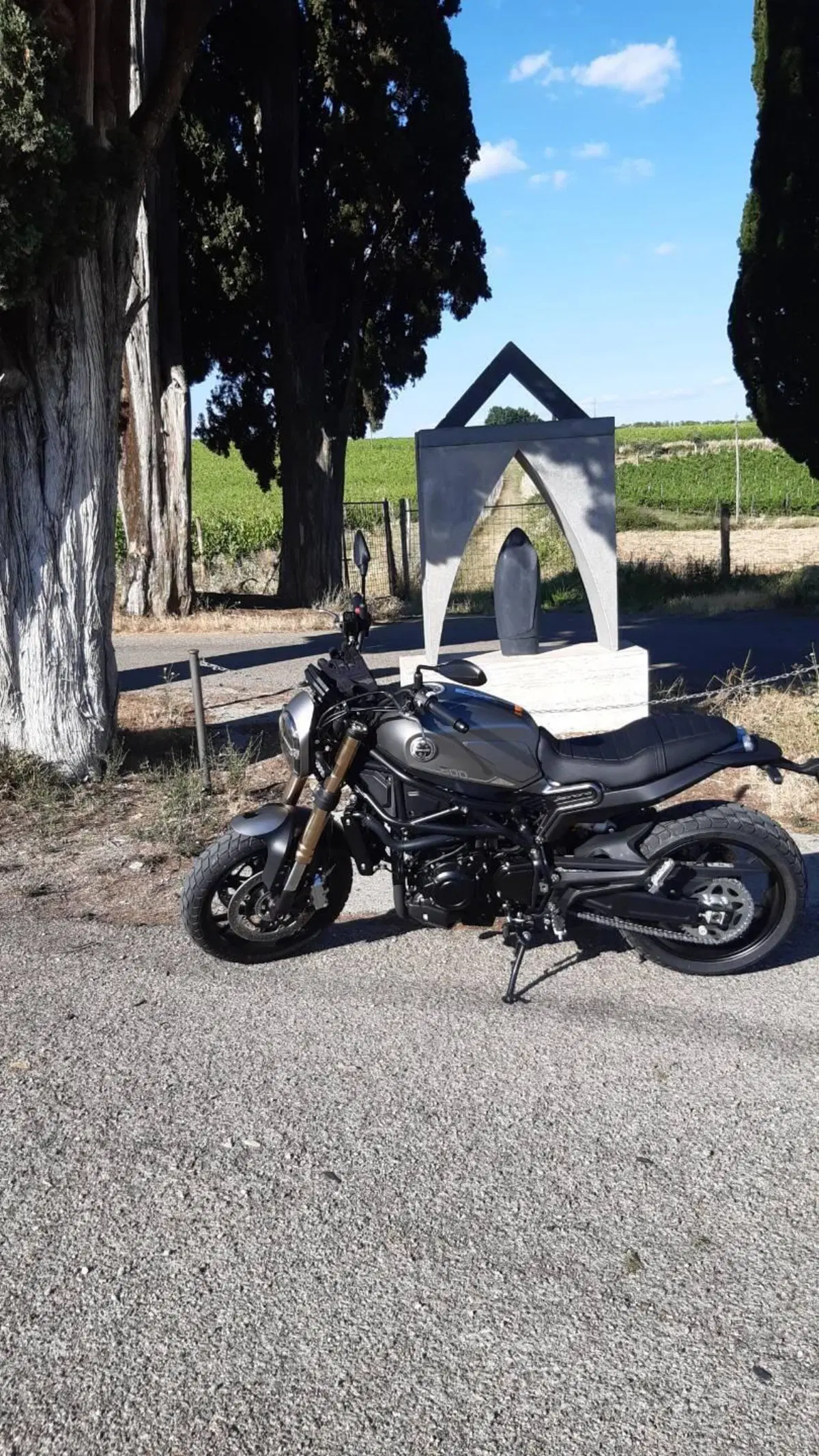 Benelli Leoncino 800 (2022 - 26)